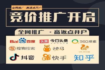 SEM专员案例：数据分析与优化